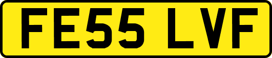 FE55LVF