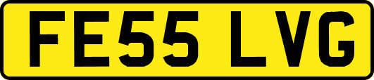 FE55LVG