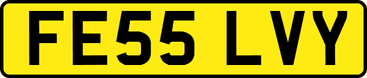 FE55LVY