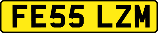 FE55LZM