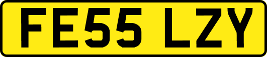 FE55LZY