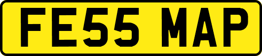 FE55MAP