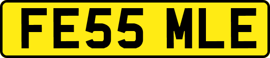 FE55MLE