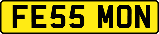 FE55MON