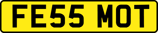 FE55MOT
