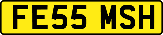 FE55MSH