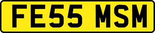 FE55MSM