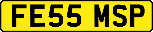 FE55MSP