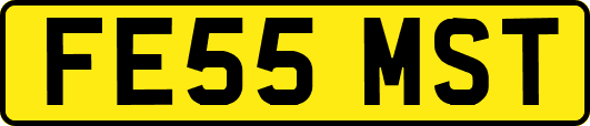 FE55MST