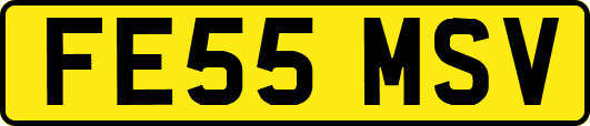 FE55MSV