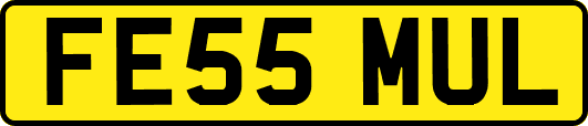 FE55MUL