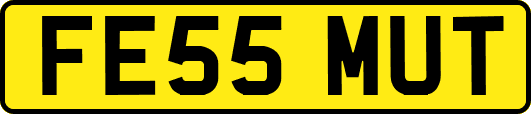 FE55MUT