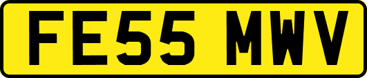 FE55MWV