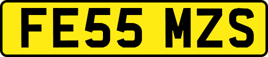 FE55MZS