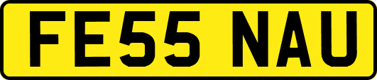 FE55NAU