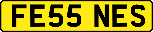 FE55NES