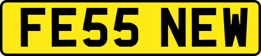 FE55NEW