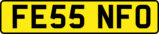 FE55NFO