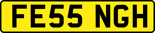 FE55NGH