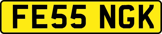 FE55NGK