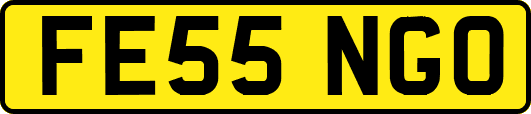 FE55NGO