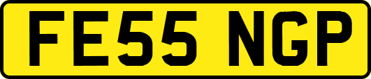 FE55NGP