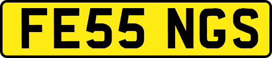 FE55NGS