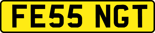 FE55NGT
