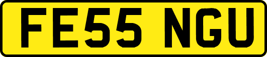 FE55NGU