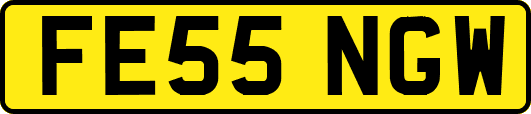 FE55NGW