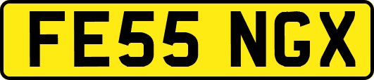 FE55NGX