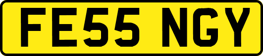 FE55NGY