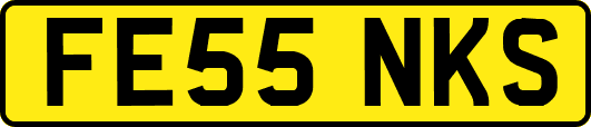 FE55NKS
