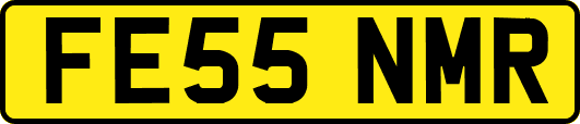 FE55NMR