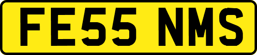 FE55NMS