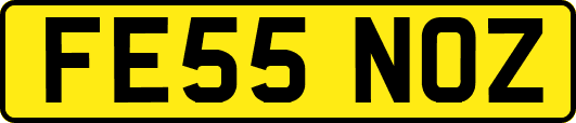 FE55NOZ