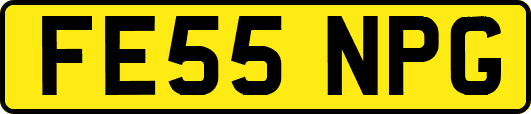 FE55NPG