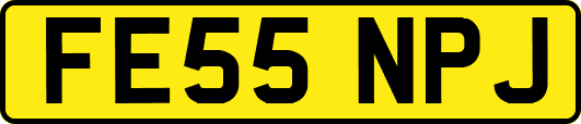 FE55NPJ