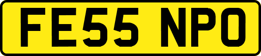 FE55NPO