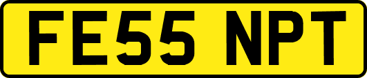 FE55NPT
