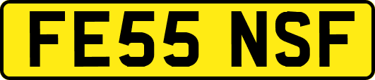 FE55NSF