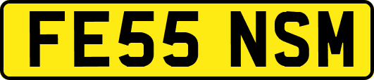 FE55NSM