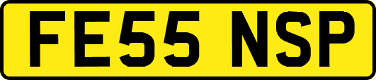 FE55NSP