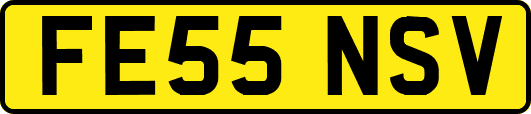 FE55NSV