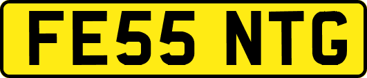 FE55NTG