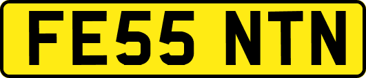 FE55NTN