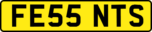 FE55NTS