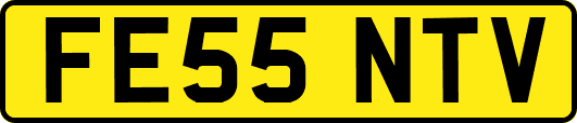 FE55NTV