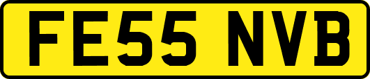 FE55NVB