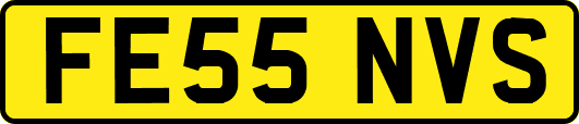 FE55NVS
